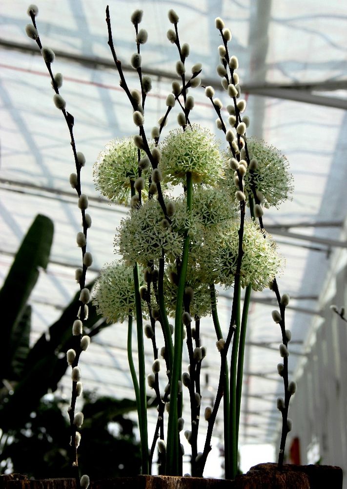 NL - Floriade-018 - Eingangsbegrüssung