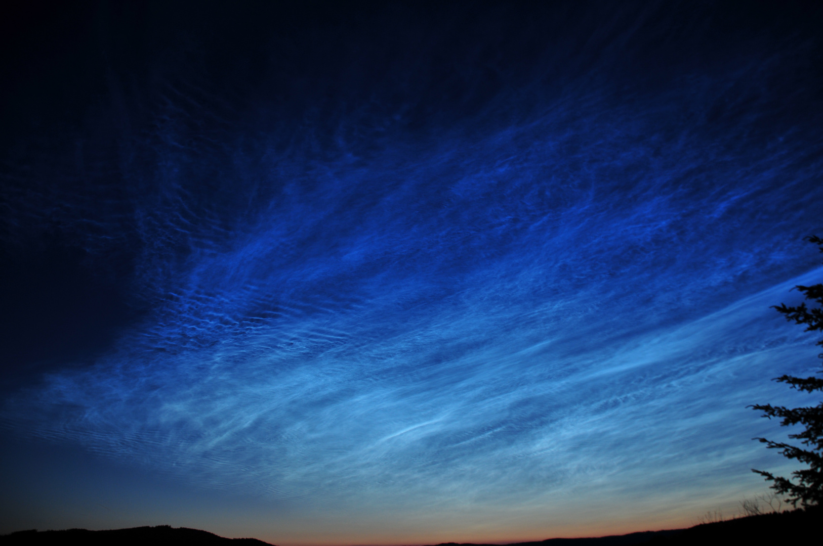 NLC_2019-06-21