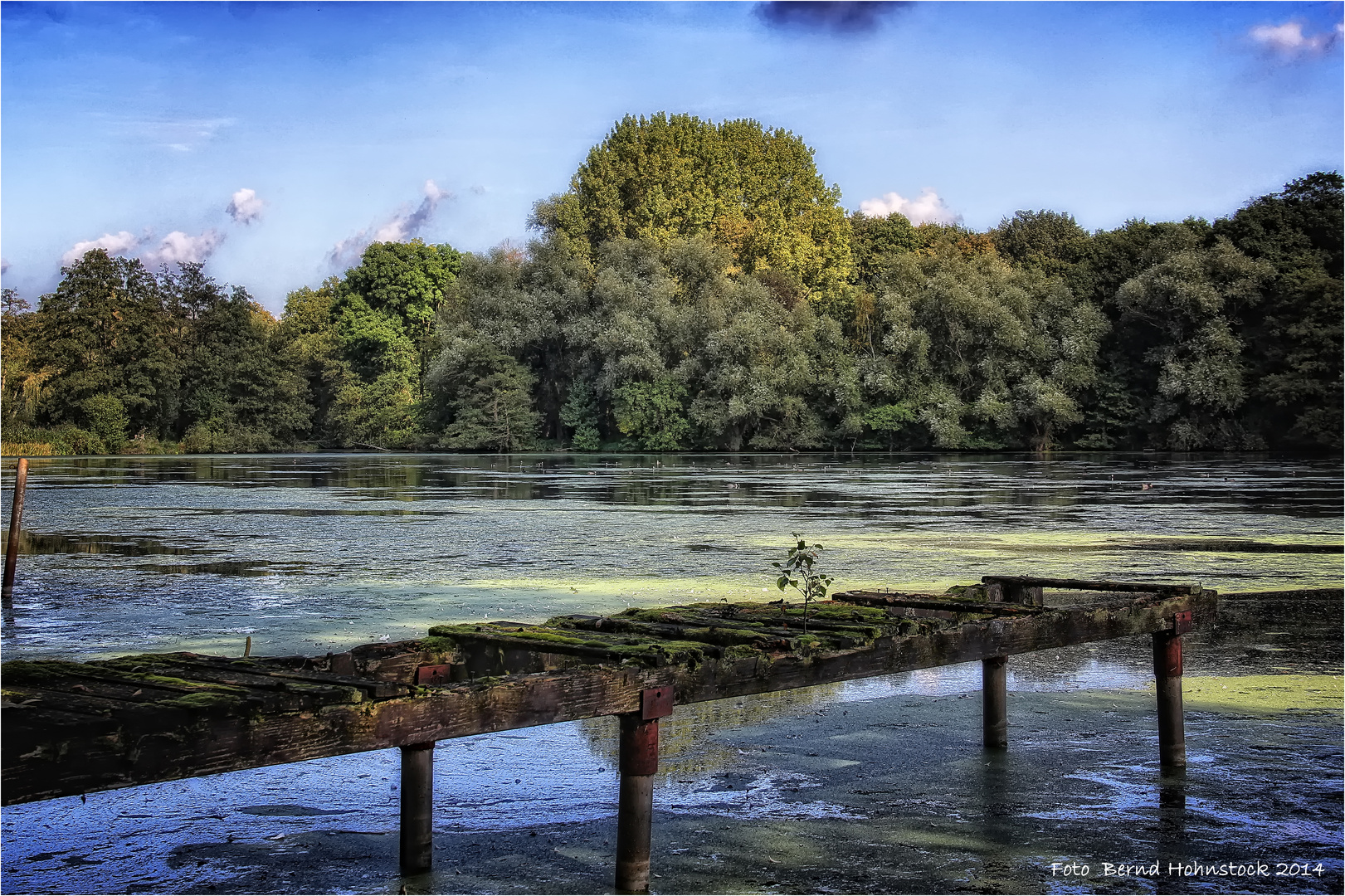 NMSN am linken Niederrhein ...