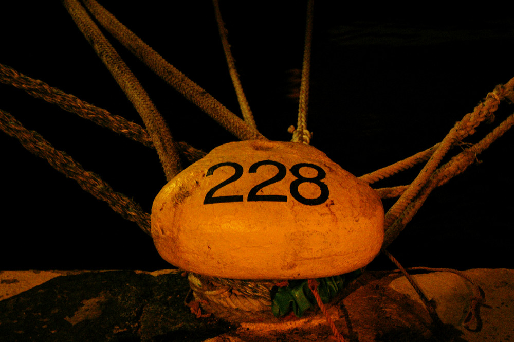 No 228