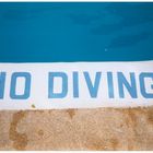 no diving