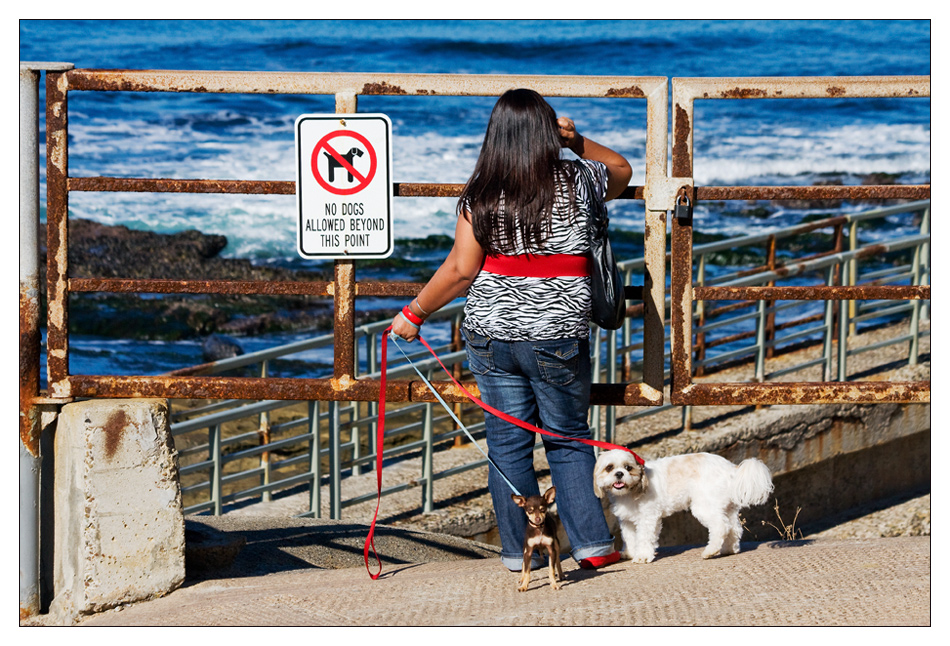 no dogs allowed beyond this point Foto & Bild north america, united