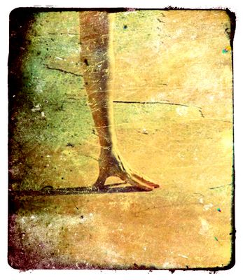 No estrechéis esa mano (Ilustración para unos versos de Luis Cernuda)