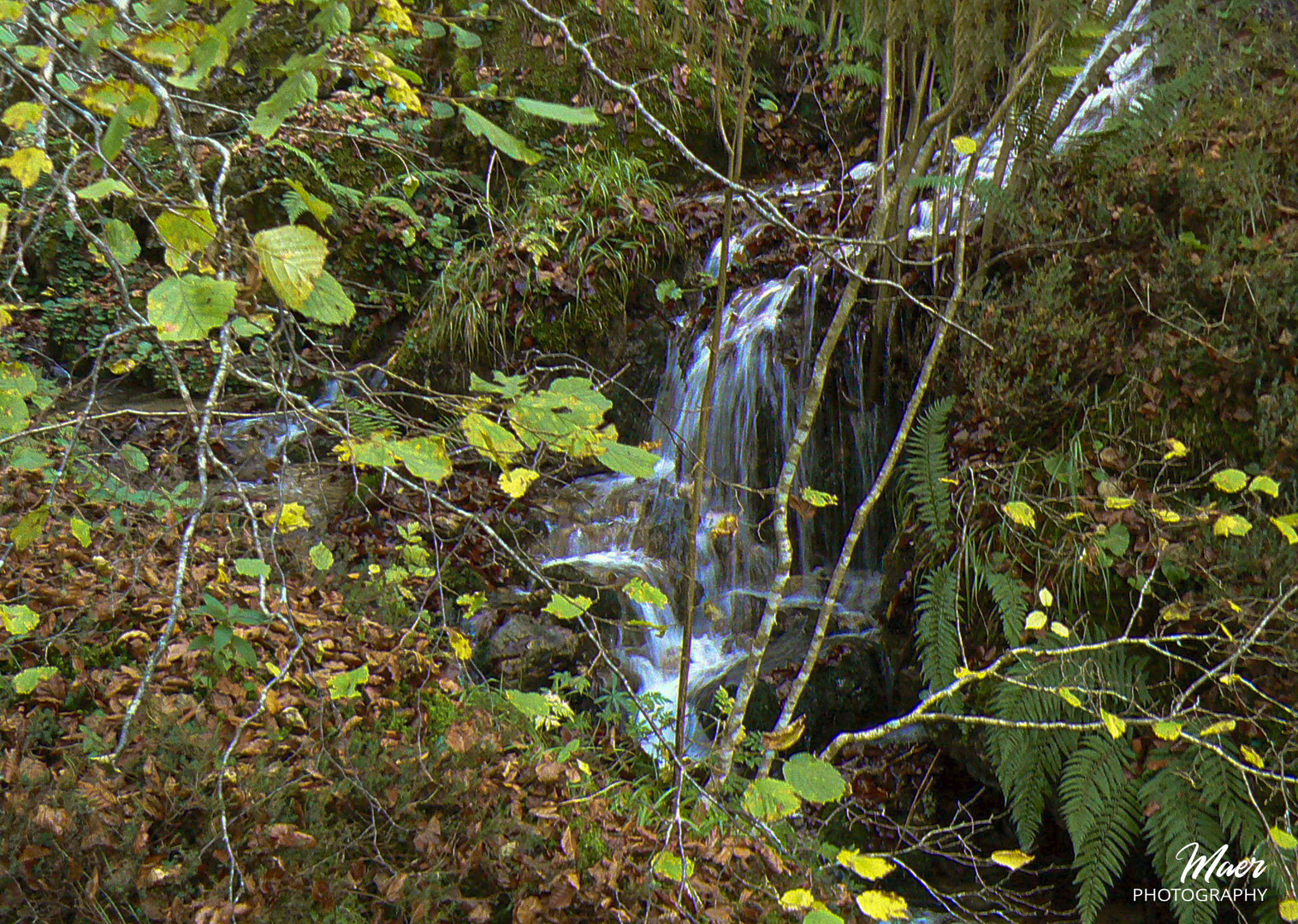 No faltan cascadas en este paraiso natural de Somiedo. 2007.