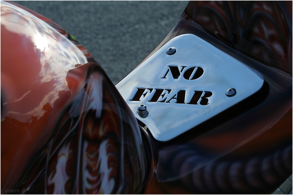 ~ No Fear ~