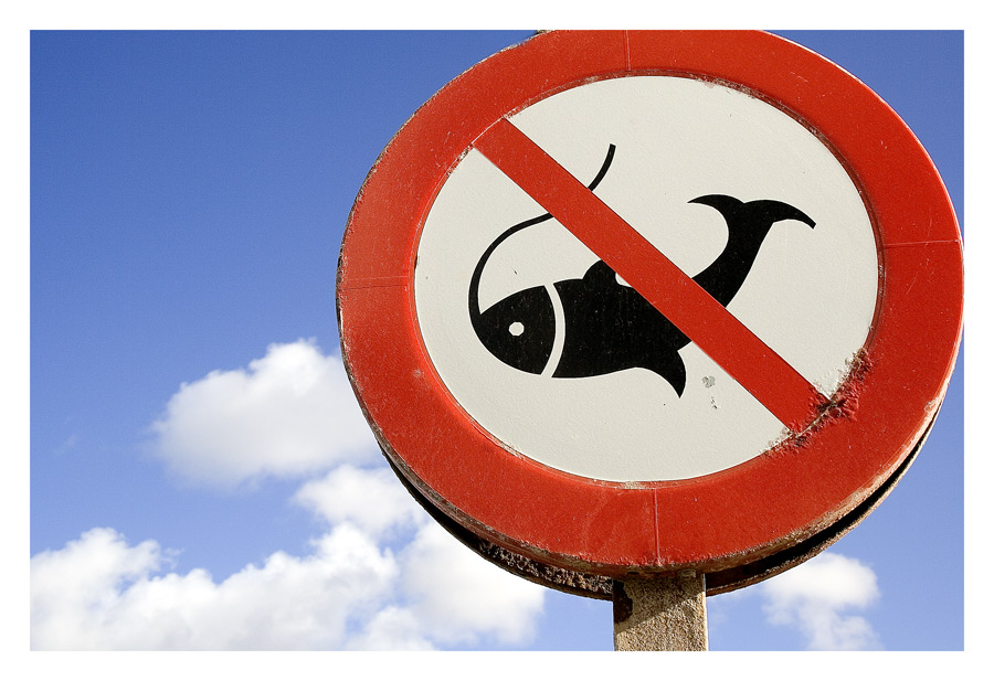 no fish