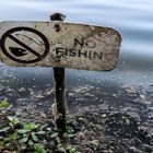 No fishing