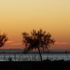 No hay dos... sin tres (Mar Menor)