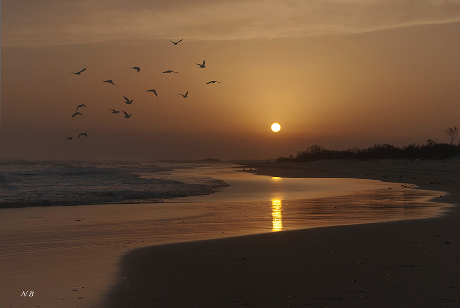 No hay un atardecer igual a otro.