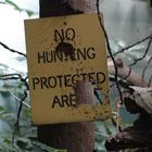 No Hunting