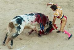 "No Killing" in Arles