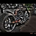 NO LIMIT HARLEY