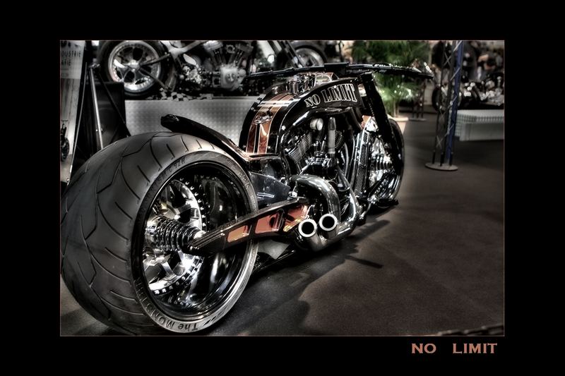 NO LIMIT HARLEY