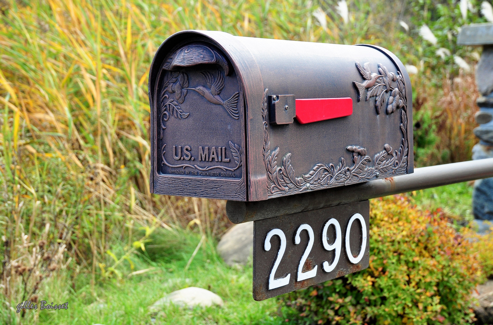 No mail to day