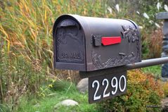 No mail today