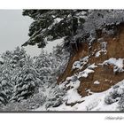 No nieva hacia arriba.....