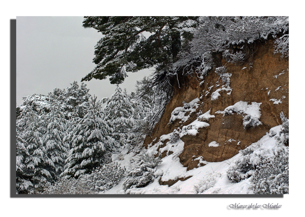 No nieva hacia arriba.....