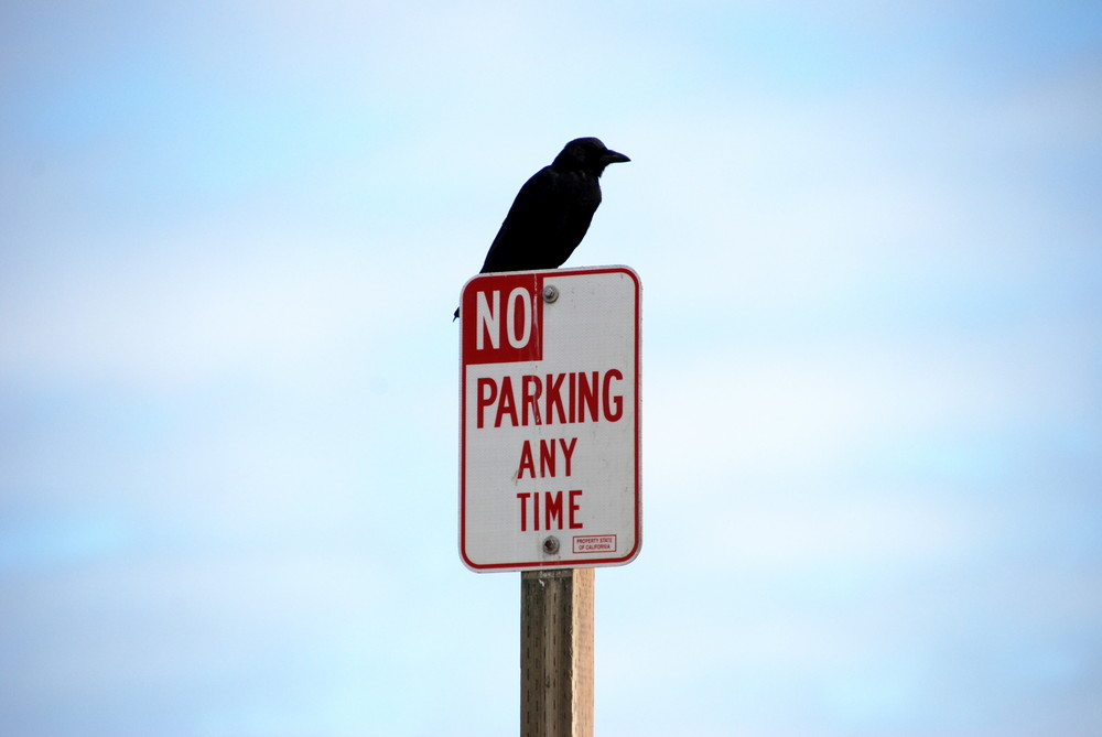 No Parking!