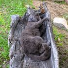 No photo please