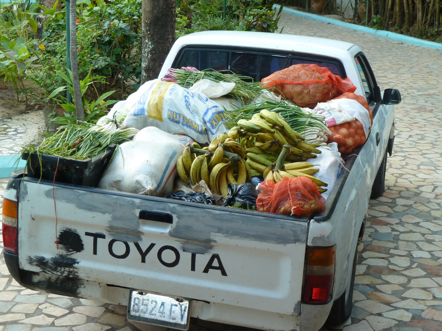 no problem! Foto & Bild | north america, central america ...