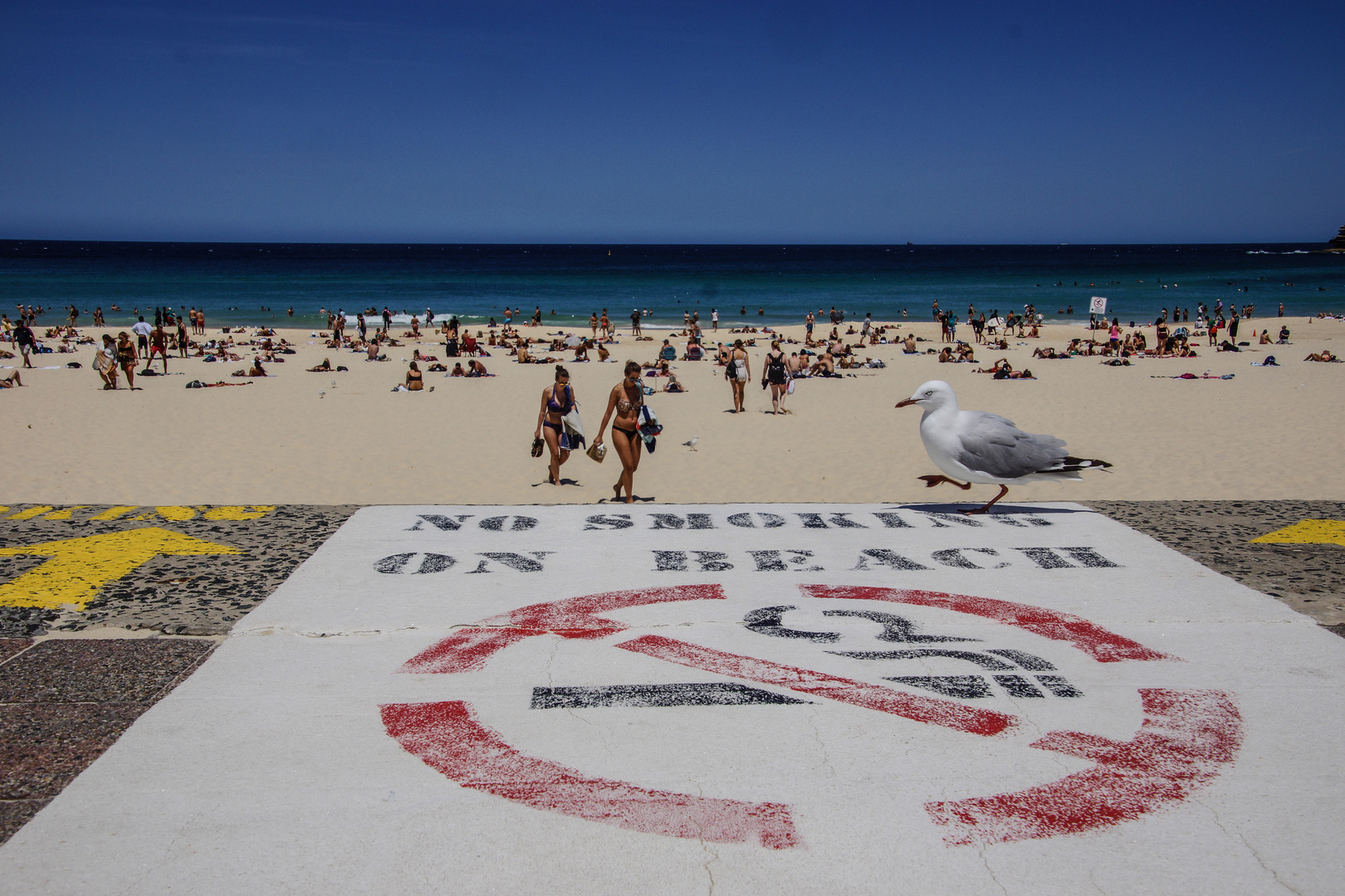 No smoke on Bondi Beach 