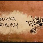 no war - no bush ??