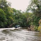 no way to Tortuguero