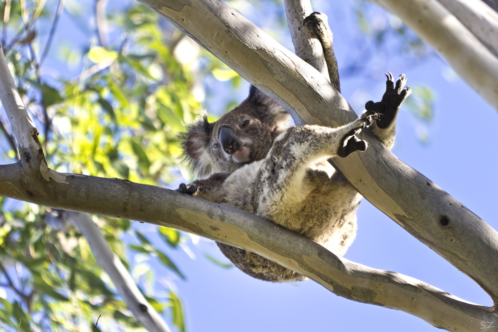 No Worries Mate - Relaxed Australian Lifestyle.....