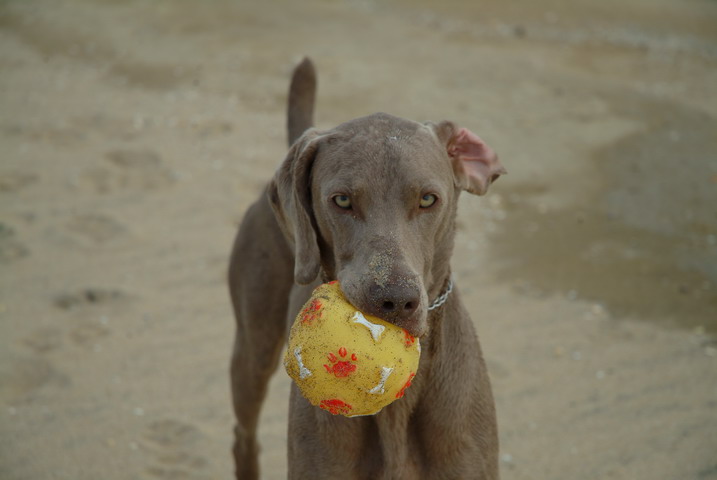 NOA IN THE BEACH