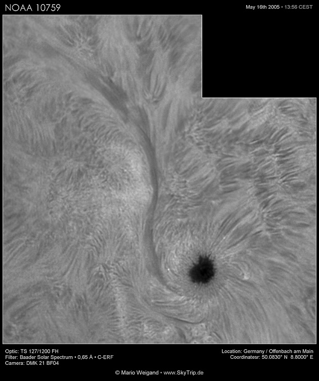 NOAA 10759 in H-Alpha am 16. Mai 2005