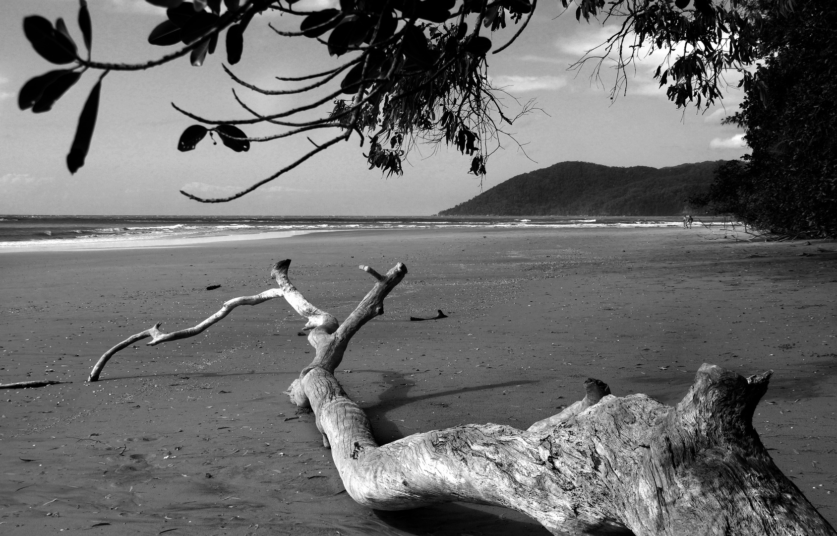 Noah Beach, Australia