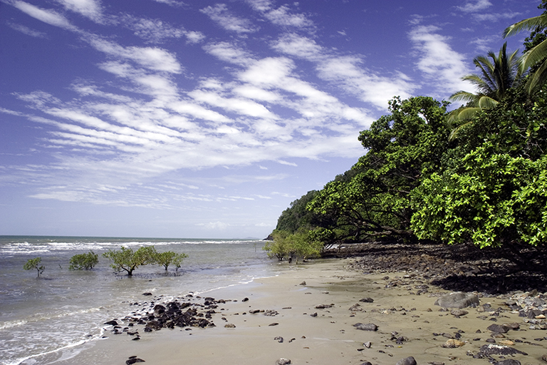 Noah Beach, Daintree Nationalpark, Queensland, Australien