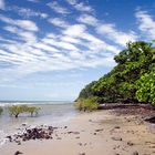 Noah Beach, Daintree Nationalpark, Queensland, Australien