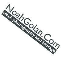 Noah Golan