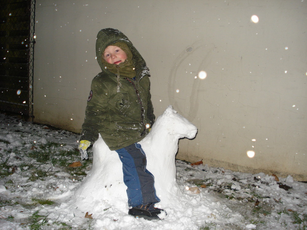 Noah und sein Schneepferd