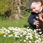 Noah zeigt seinem Monschischi den Frühling