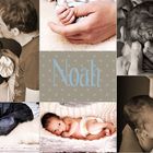 noah2