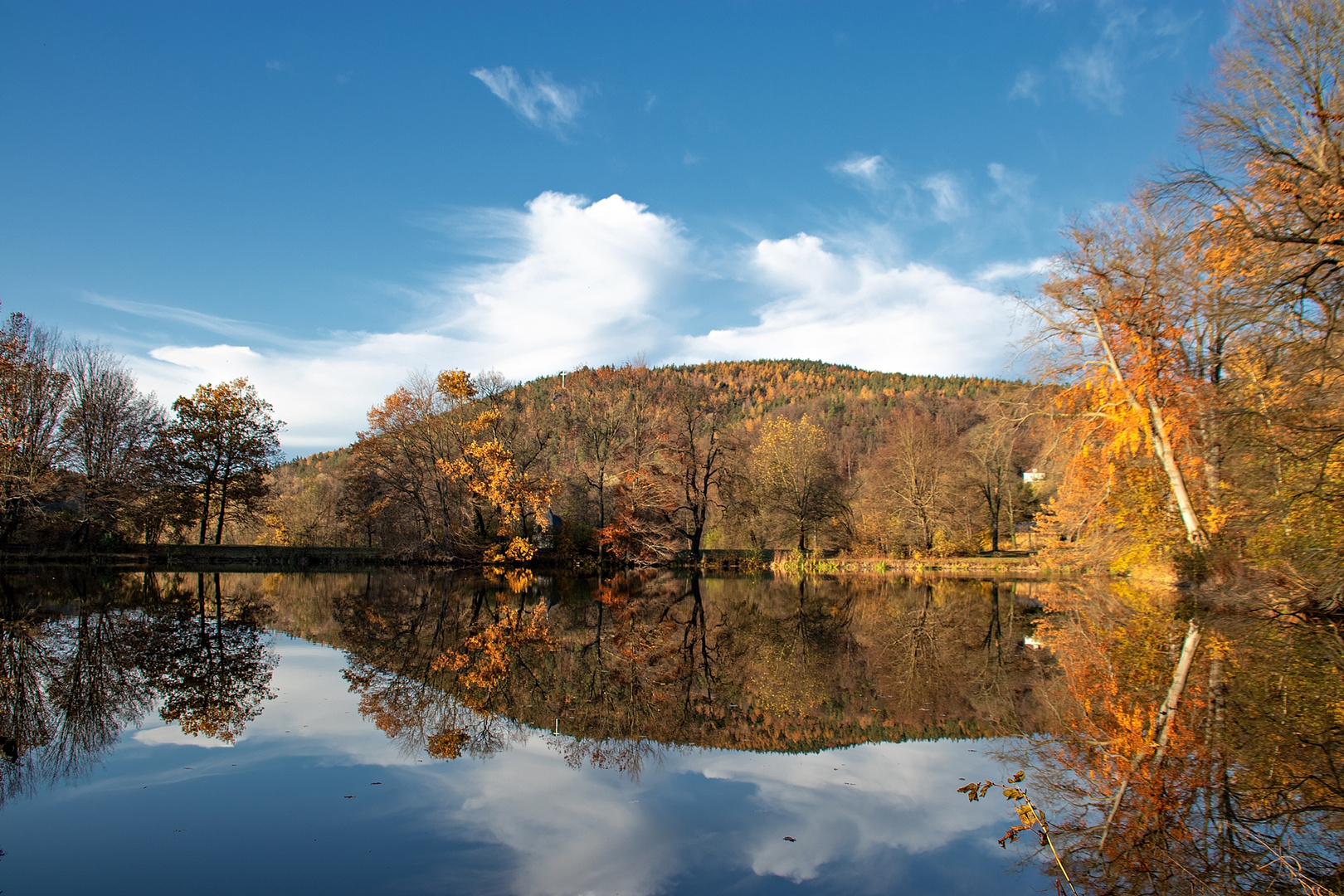 Nobember im Park