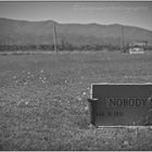 NOBODY 