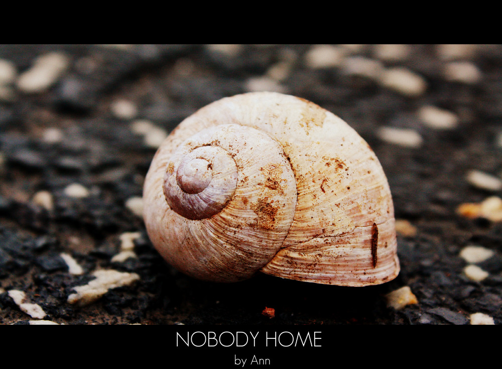 NOBODY HOME! von °oOAnn 