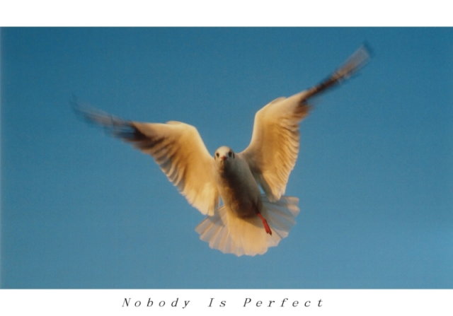 Nobody Is Perfect