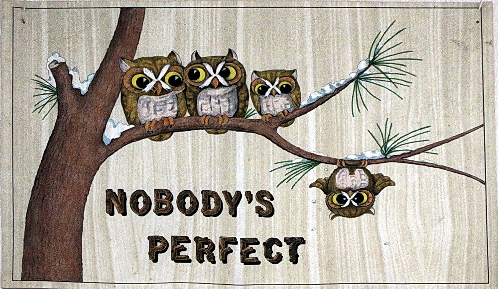 Nobody is perfect...