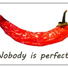 Nobody is perfect