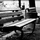 Nobody sits on a bench. But why? Because they have no Time to!