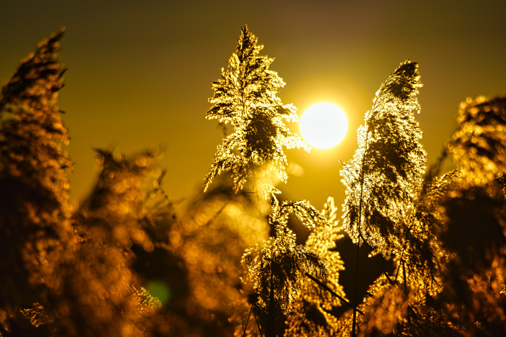 Noch 15 Min. bis zum Sonnenuntergang