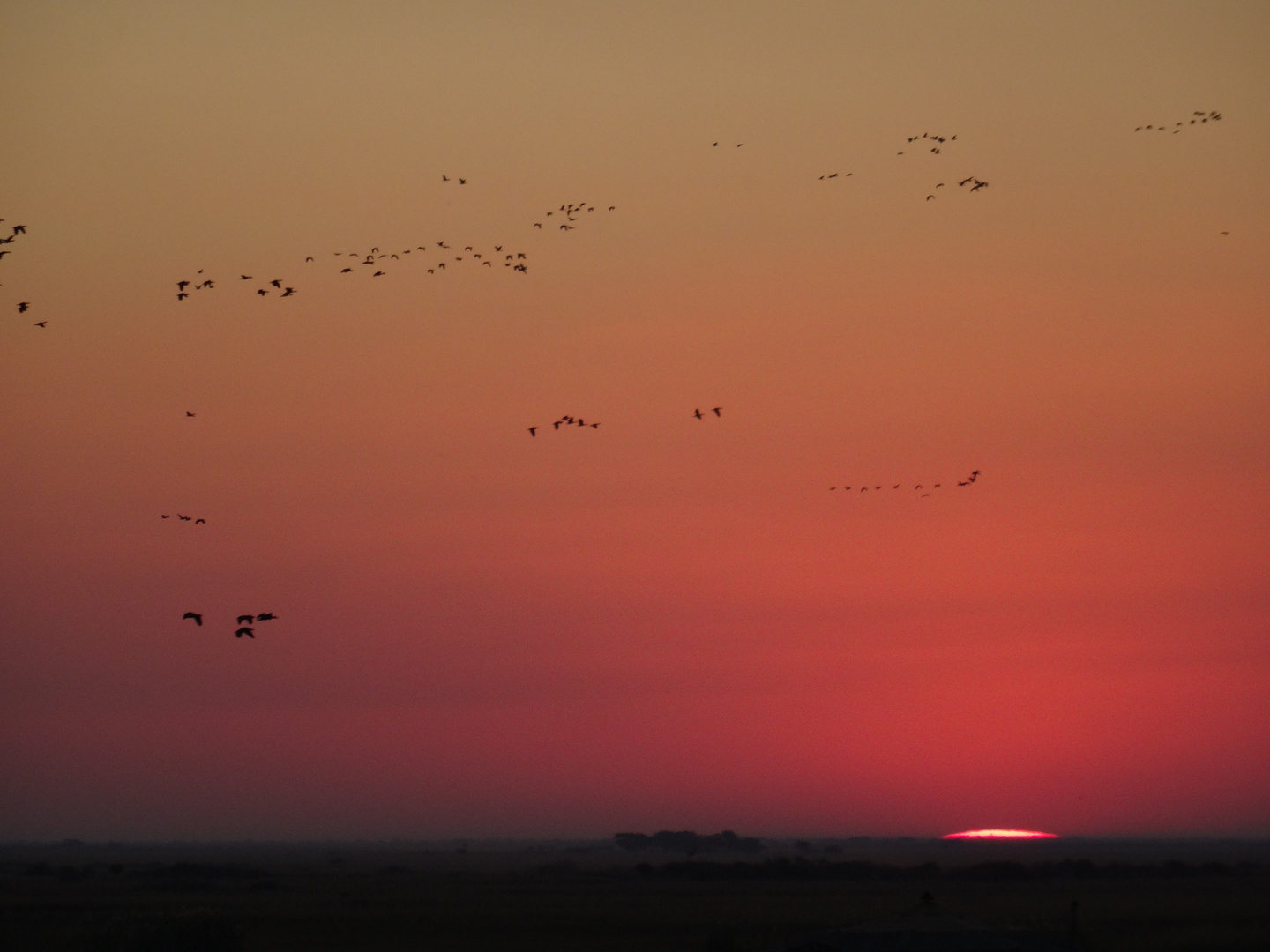 Noch 15 Sek. bis zum Sonnenuntergang.