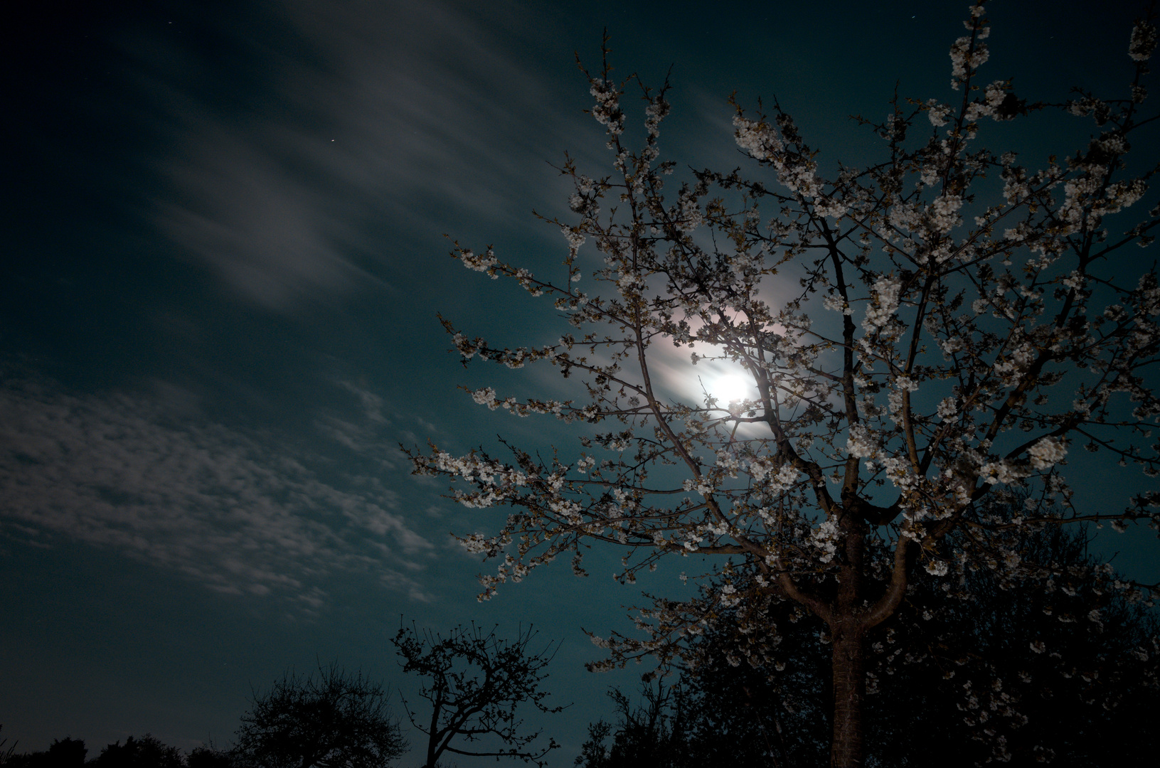 Noch 24h bis zum Frühlingvollmond 2022