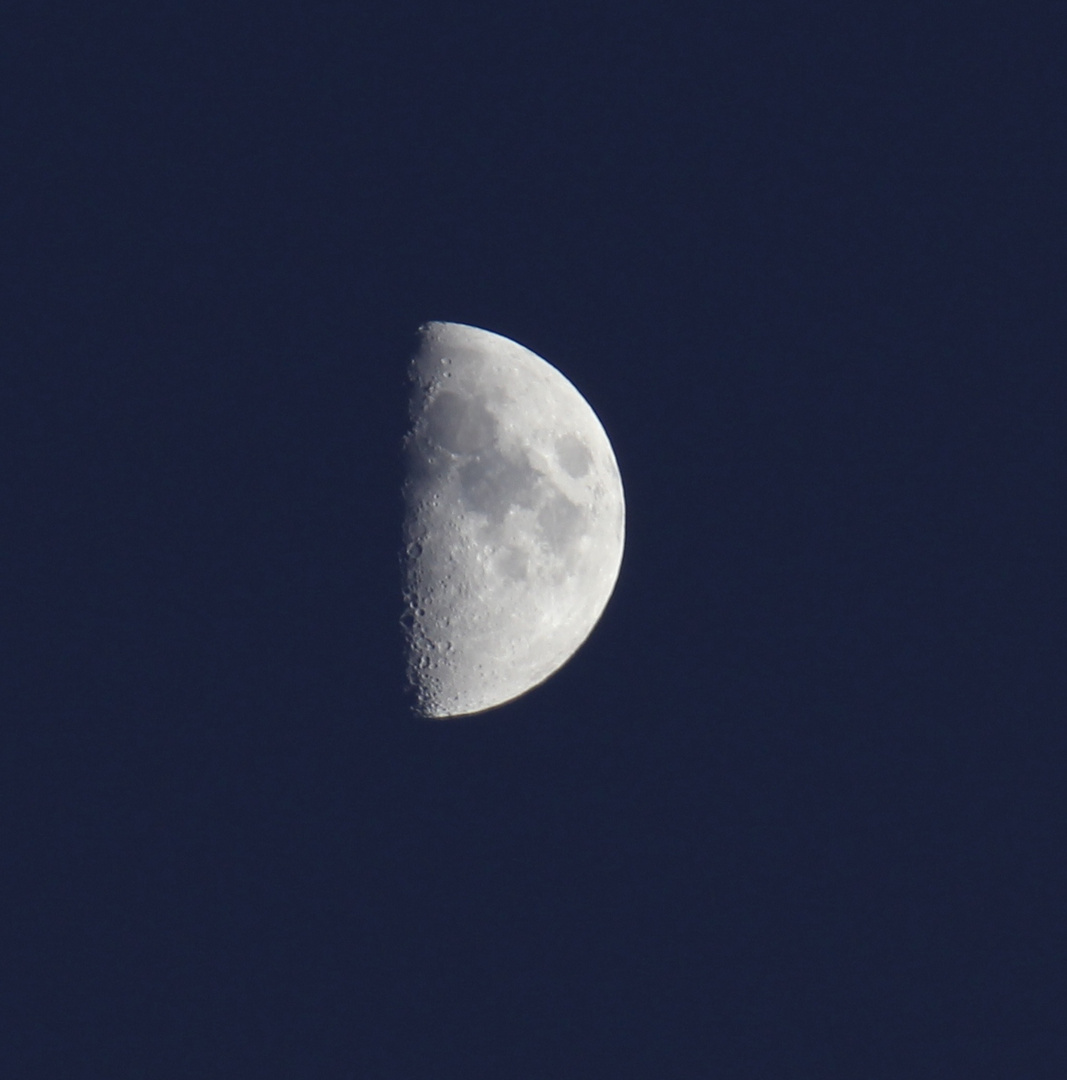 Noch 48 % bis zum nächsten Vollmond