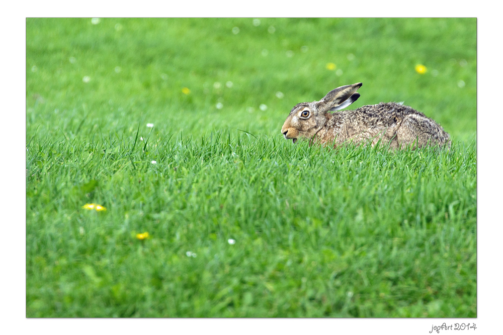 Noch 58 Tage bis Ostern...