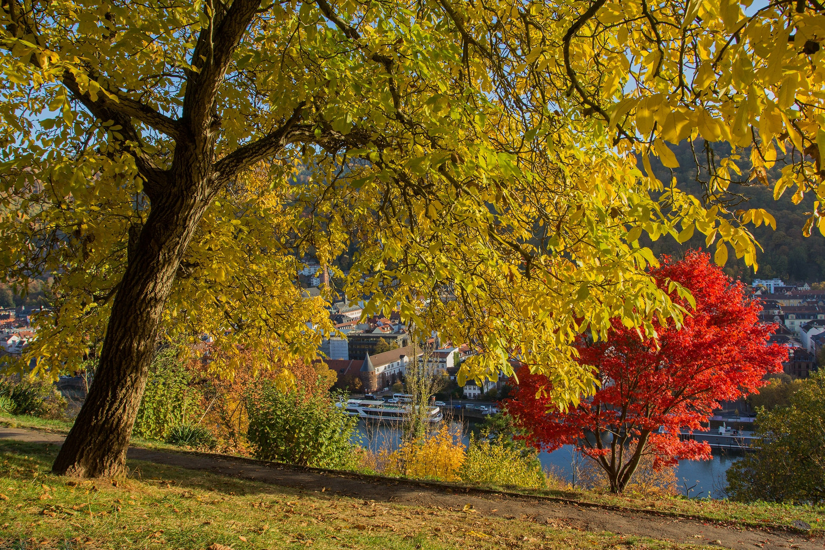 Noch aber ist Herbst